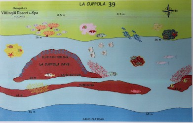 La Cuppola
